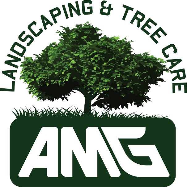 AMG Logo